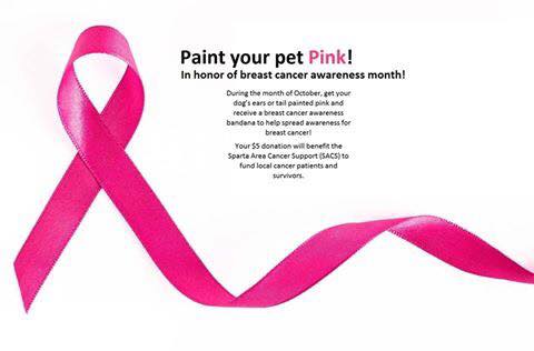 paint your pet pink